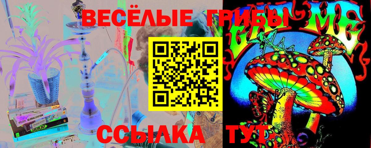 Галлюциногенные грибы Psilocybine cubensis Грязи