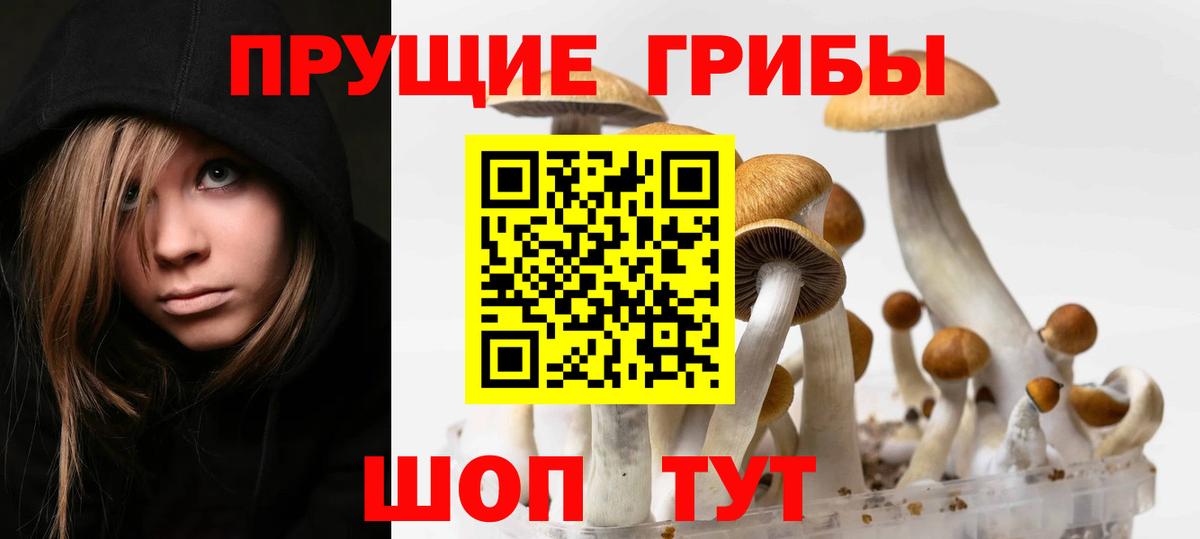Грязи  Псилоцибиновые грибы мицелий  Вход с VPN  Галлюциногенные грибы мухоморы 